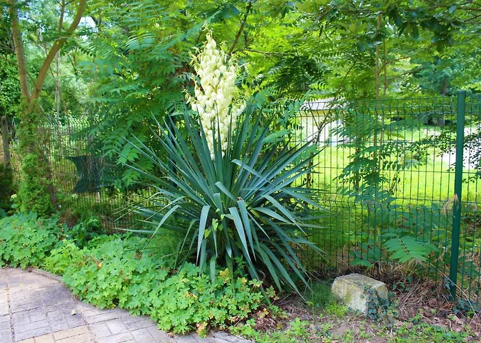 מלון Pop Art פרימורסקו